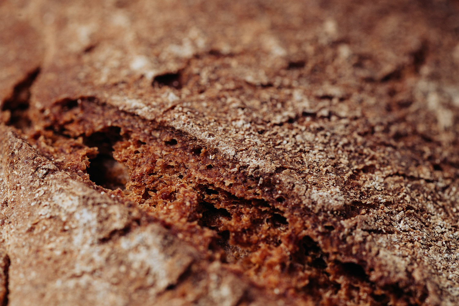 Krosse Kruste vom Gramitscher-Brot aus dem Lavanttal