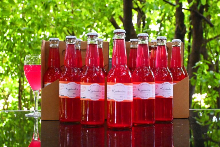 Natürlicher und unpasteurisierter Kombucha von Wiesengemüse aus dem Nationalpark Hohe Tauern